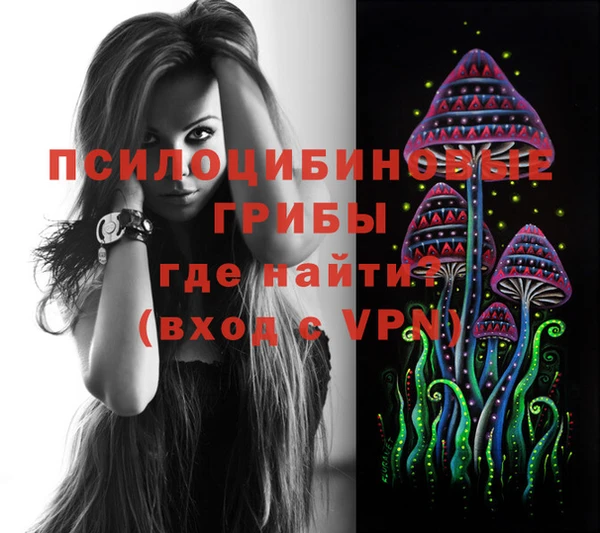 a pvp Бородино