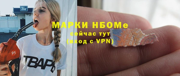 a pvp Бородино