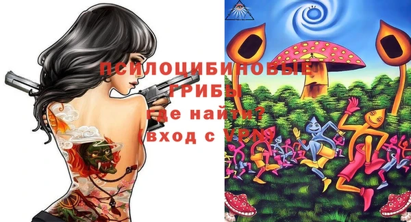 a pvp Бородино