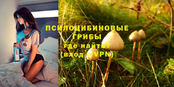 a pvp Бородино
