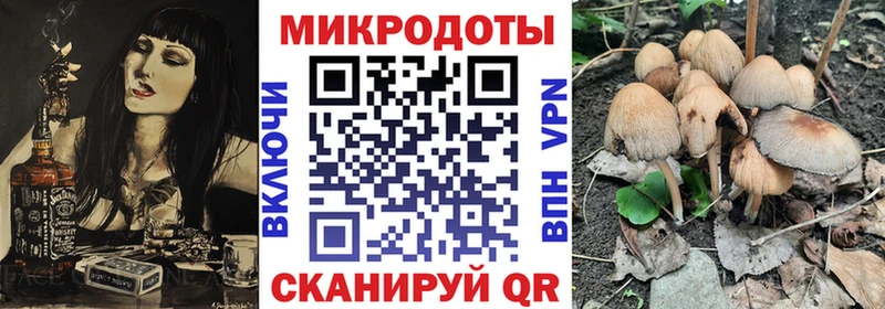 Купить Вуктыл Псилоцибиновые грибы Cubensis